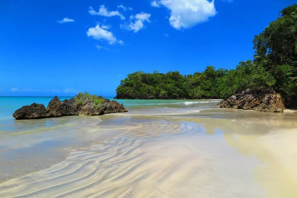 Apartment Luxury Apt At Los Cocos Residences Oceano 101 Las Terrenas Dominican Republic